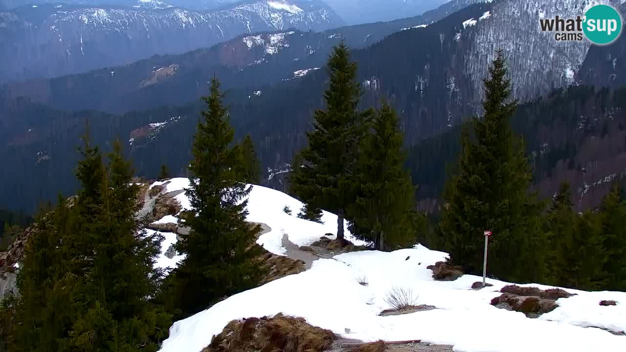 Webcam Koča na Golici (1582 m) – Slovenia