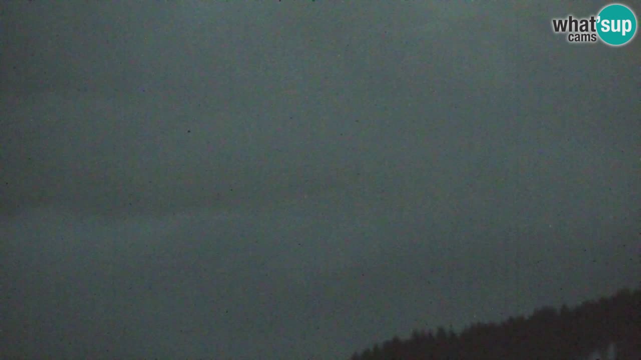 Webcam Koča na Golici (1582 m) – Slovenia