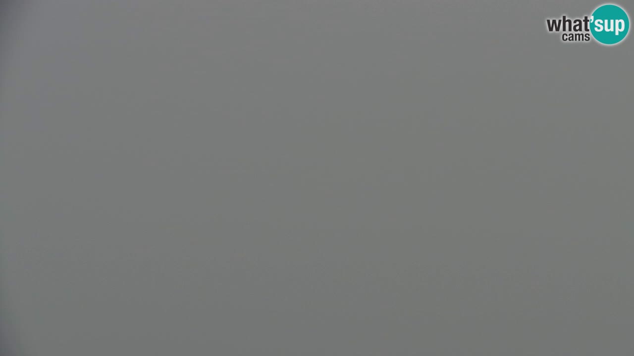 Web kamera Koča na Golici (1582 m) – Slovenija