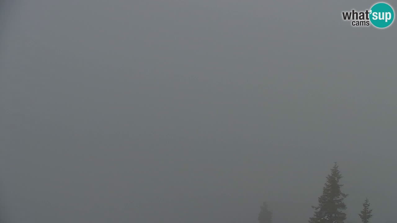 Web kamera Koča na Golici (1582 m) – Slovenija