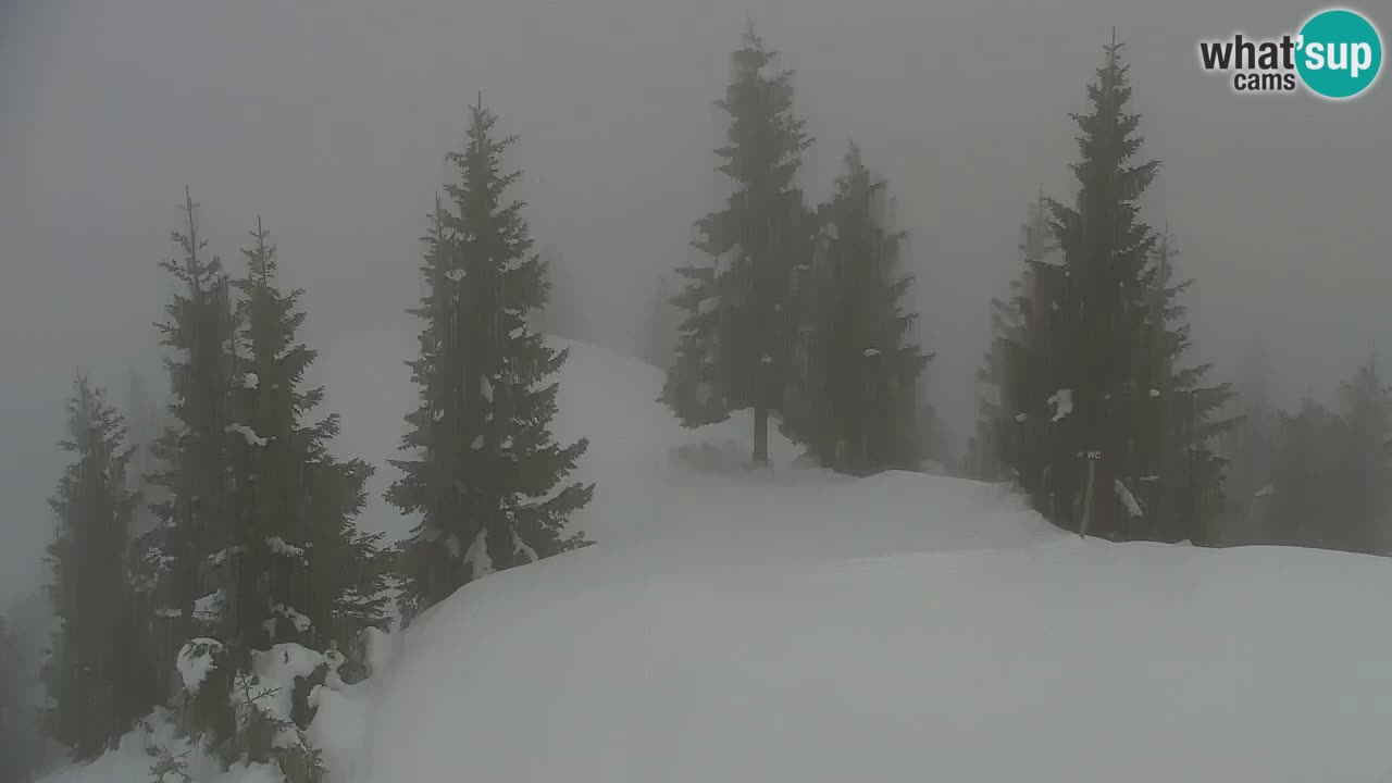 Webcam Koča na Golici (1582 m) – Slovenia