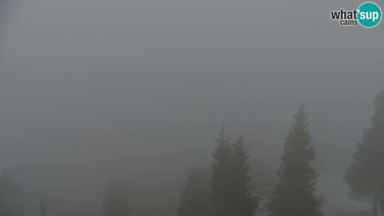 Webcam Chalet sur Golica (1582 m) – Slovénie