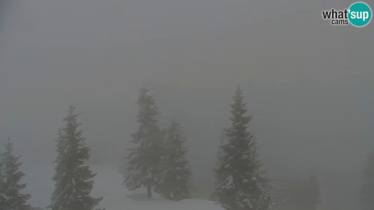 Webcam Koča na Golici (1582 m) – Slovenia