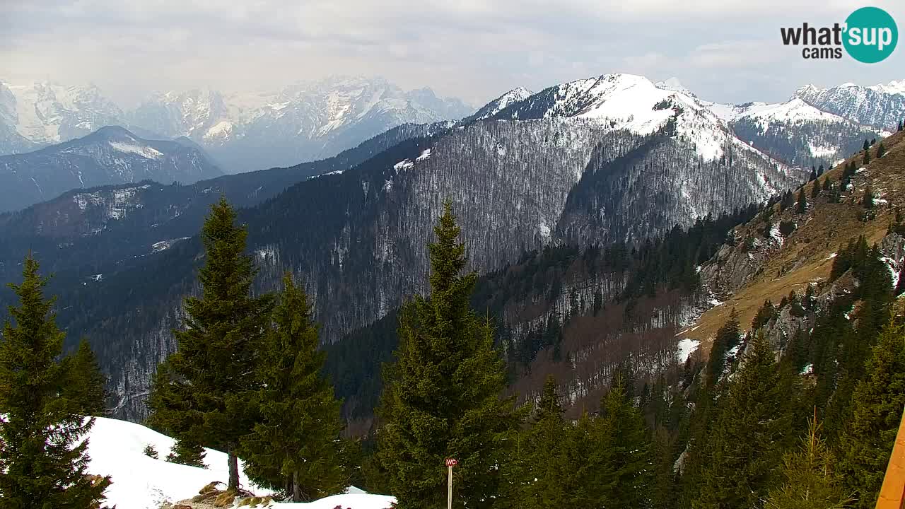 Web kamera Koča na Golici (1582 m) – Slovenija