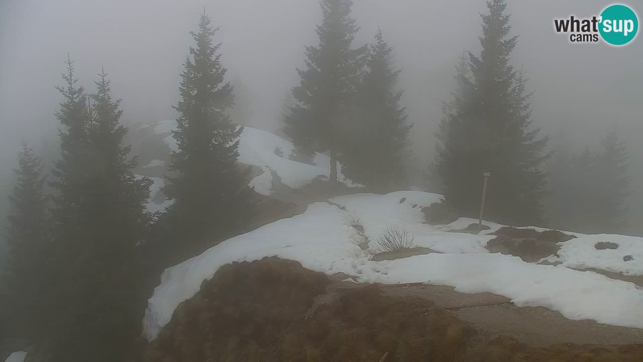 Webcam Koča na Golici (1582 m) – Slovenia