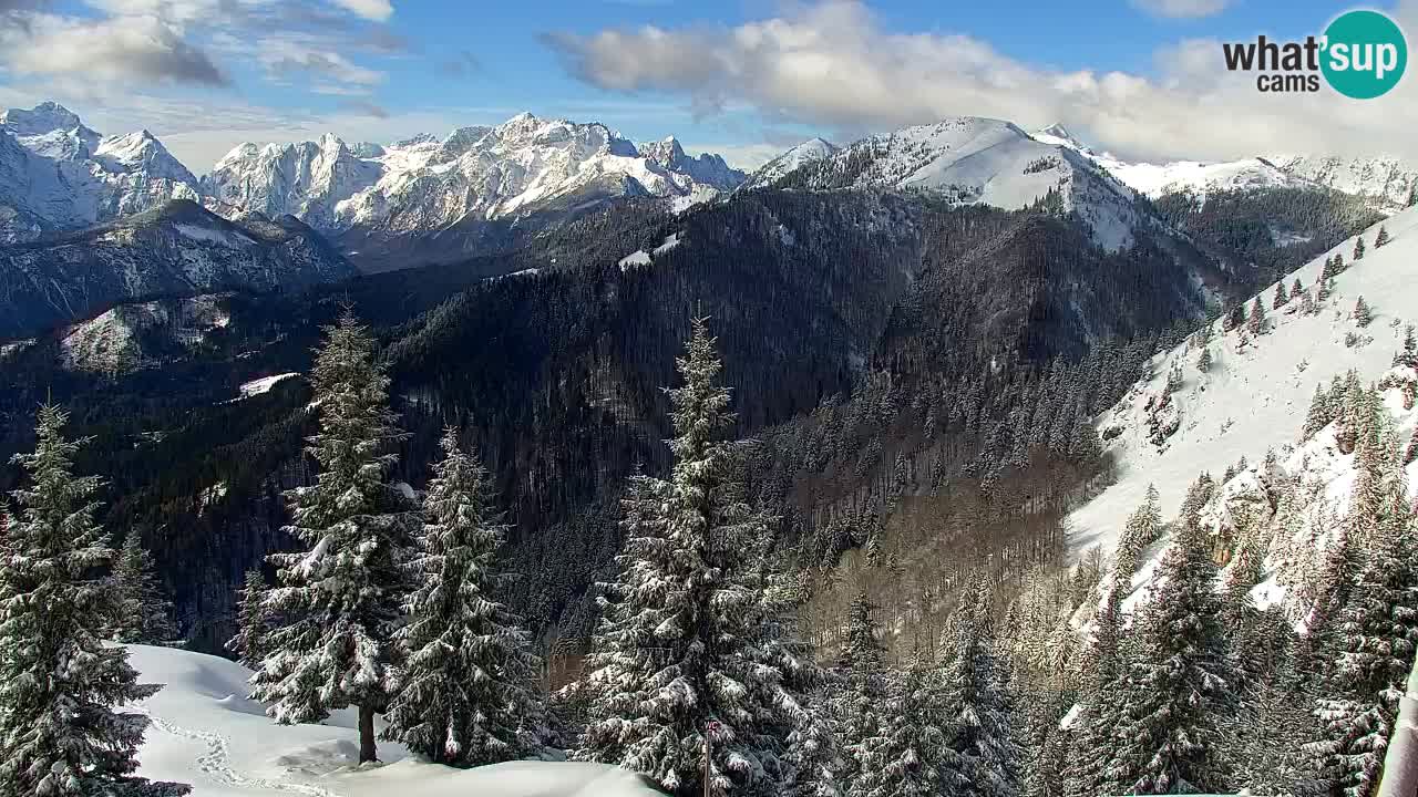 Koča na Golici Webcam (1582 m) – Slowenien