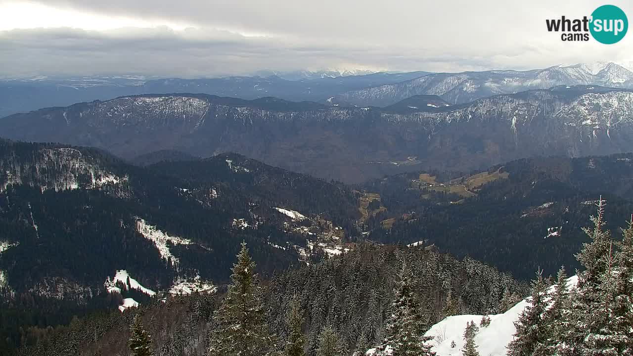 Koča na Golici Webcam (1582 m) – Slowenien