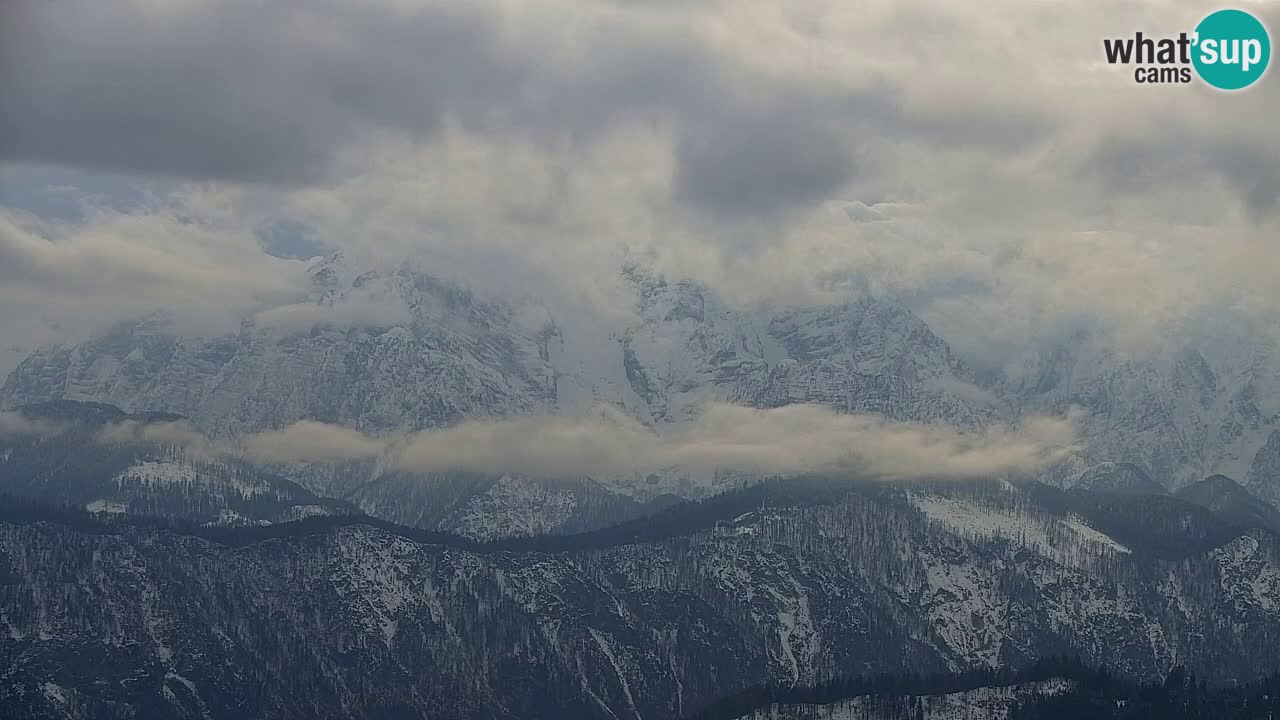 Koča na Golici Webcam (1582 m) – Slowenien
