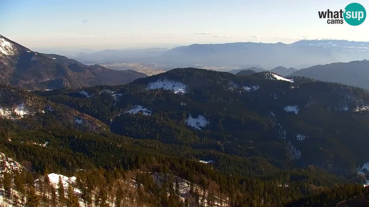 Webcam Koča na Golici (1582 m) – Slovenia