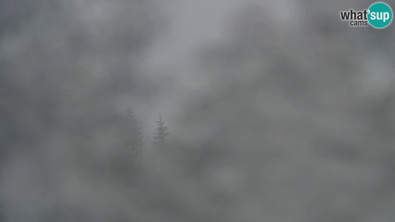 Spletna kamera Koča na Golici (1582 m) – Jesenice