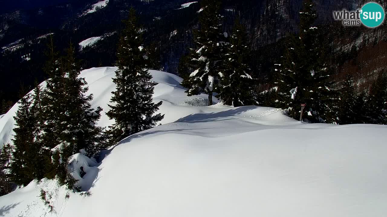 Webcam na Golici – Baita di montagna (1582 m) – Slovenia