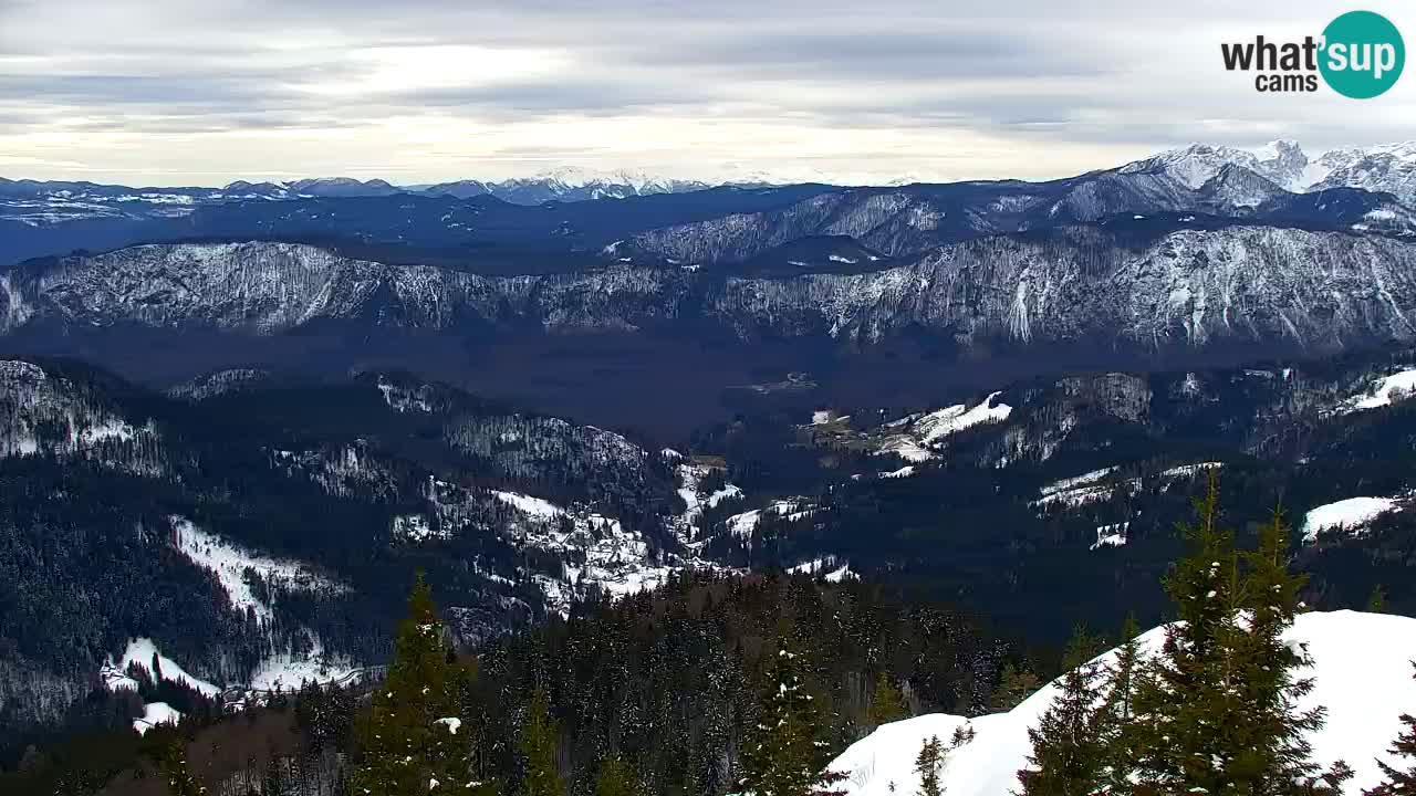 Webcam Koča na Golici (1582 m) – Slovenia