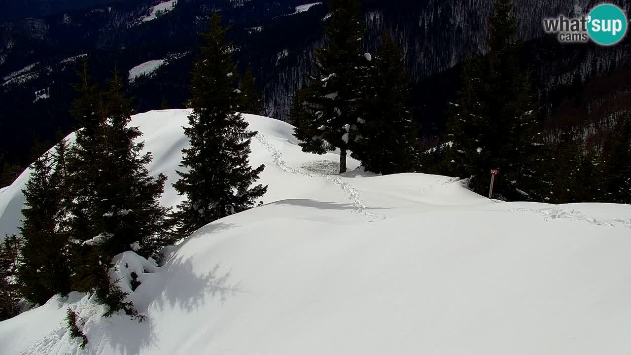 Koča na Golici Webcam (1582 m) – Slowenien