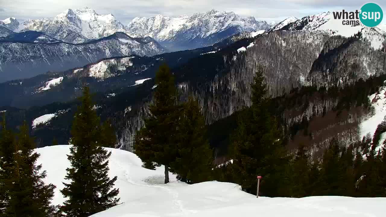 Webcam Koča na Golici (1582 m) – Slovenia