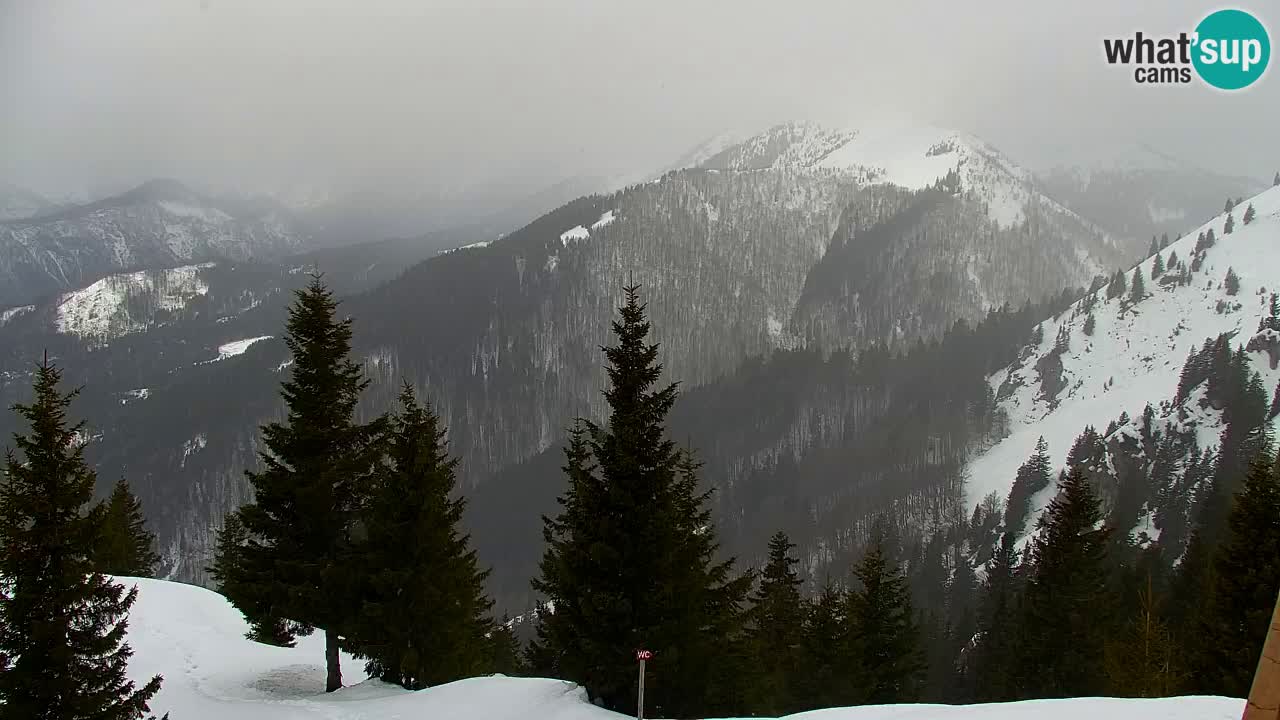 Webcam Koča na Golici (1582 m) – Slovenia