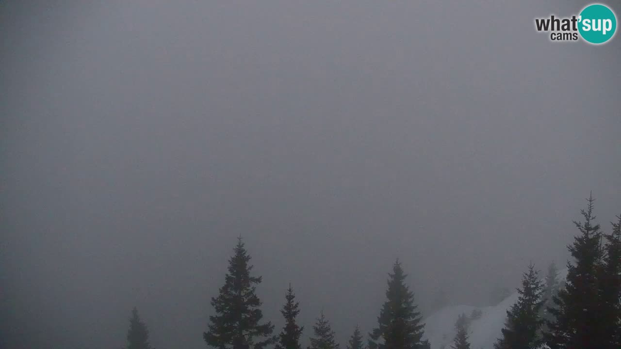 Webcam Koča na Golici (1582 m) – Slovenia