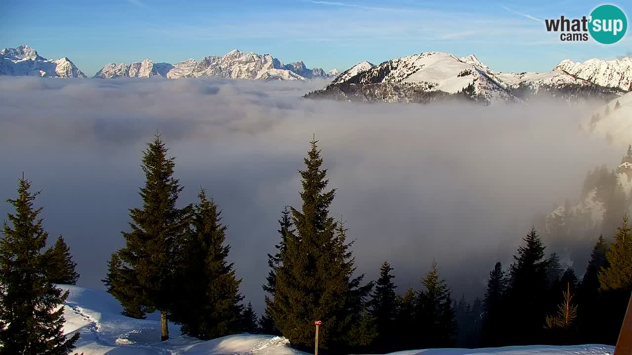 Webcam en Golica (1582 m) – Eslovenia