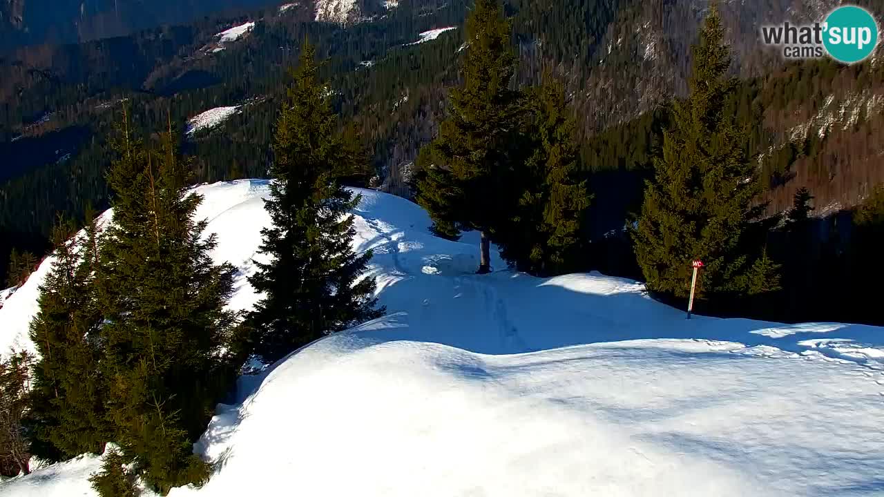 Webcam en Golica (1582 m) – Eslovenia