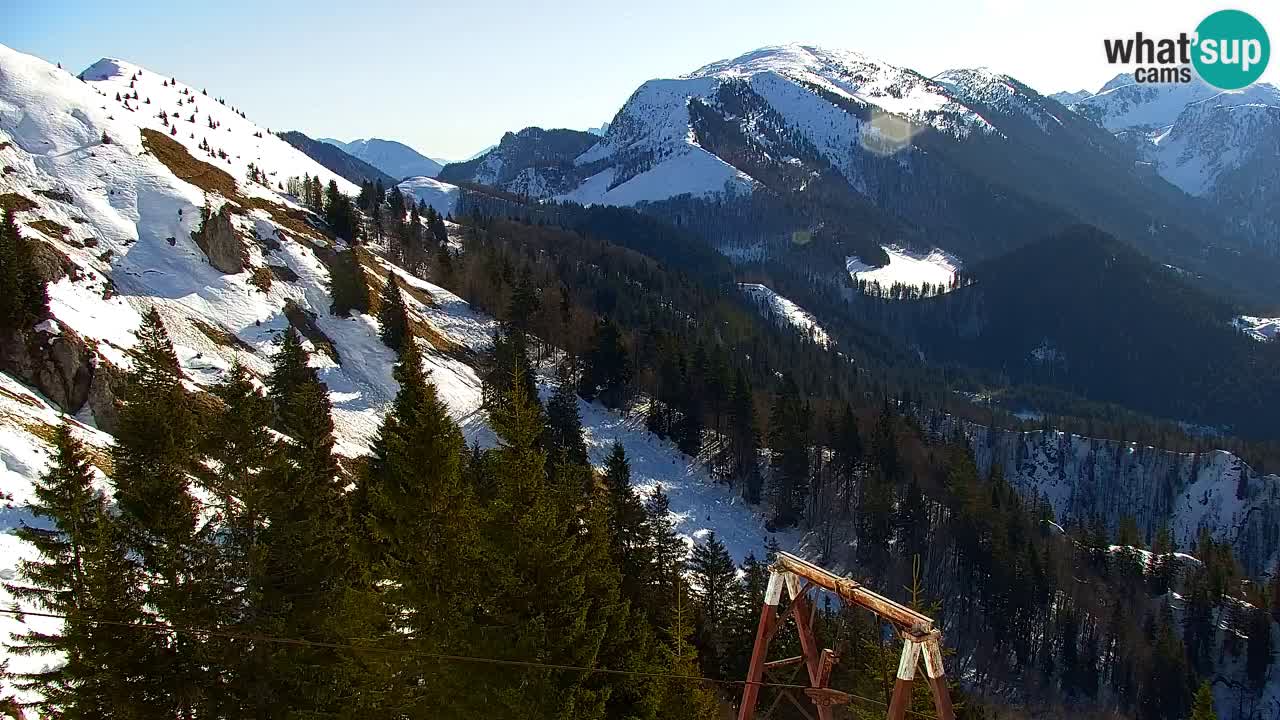Koča na Golici Webcam (1582 m) – Slowenien