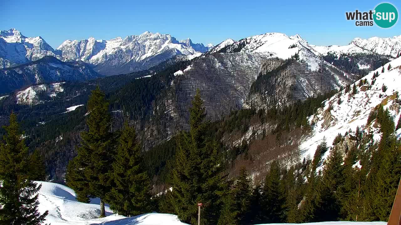Webcam Chalet sur Golica (1582 m) – Slovénie