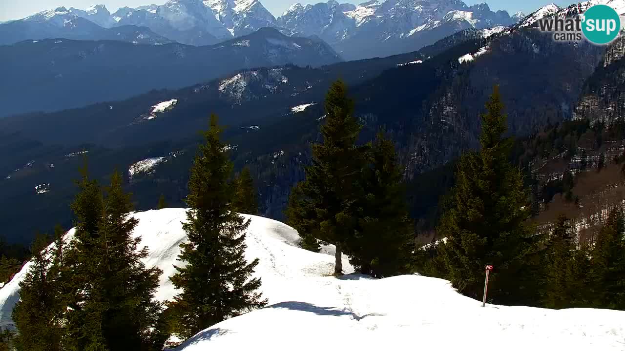 Web kamera Koča na Golici (1582 m) – Slovenija