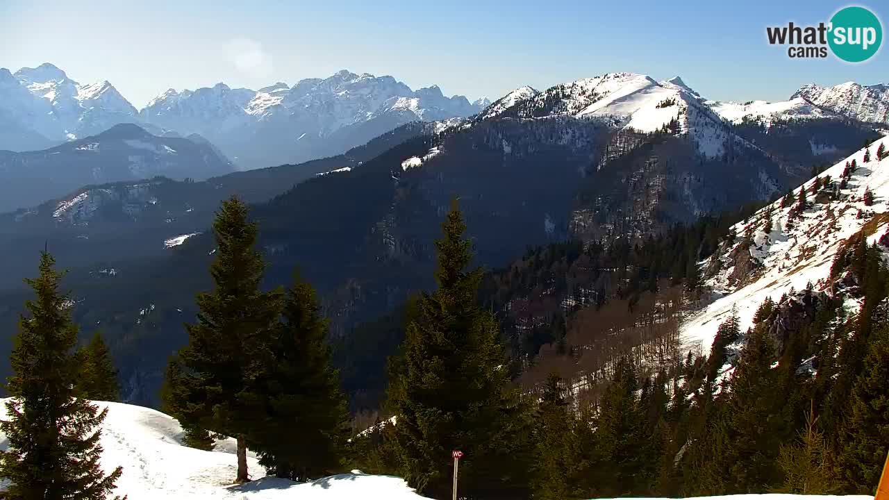 Webcam Koča na Golici (1582 m) – Slovenia