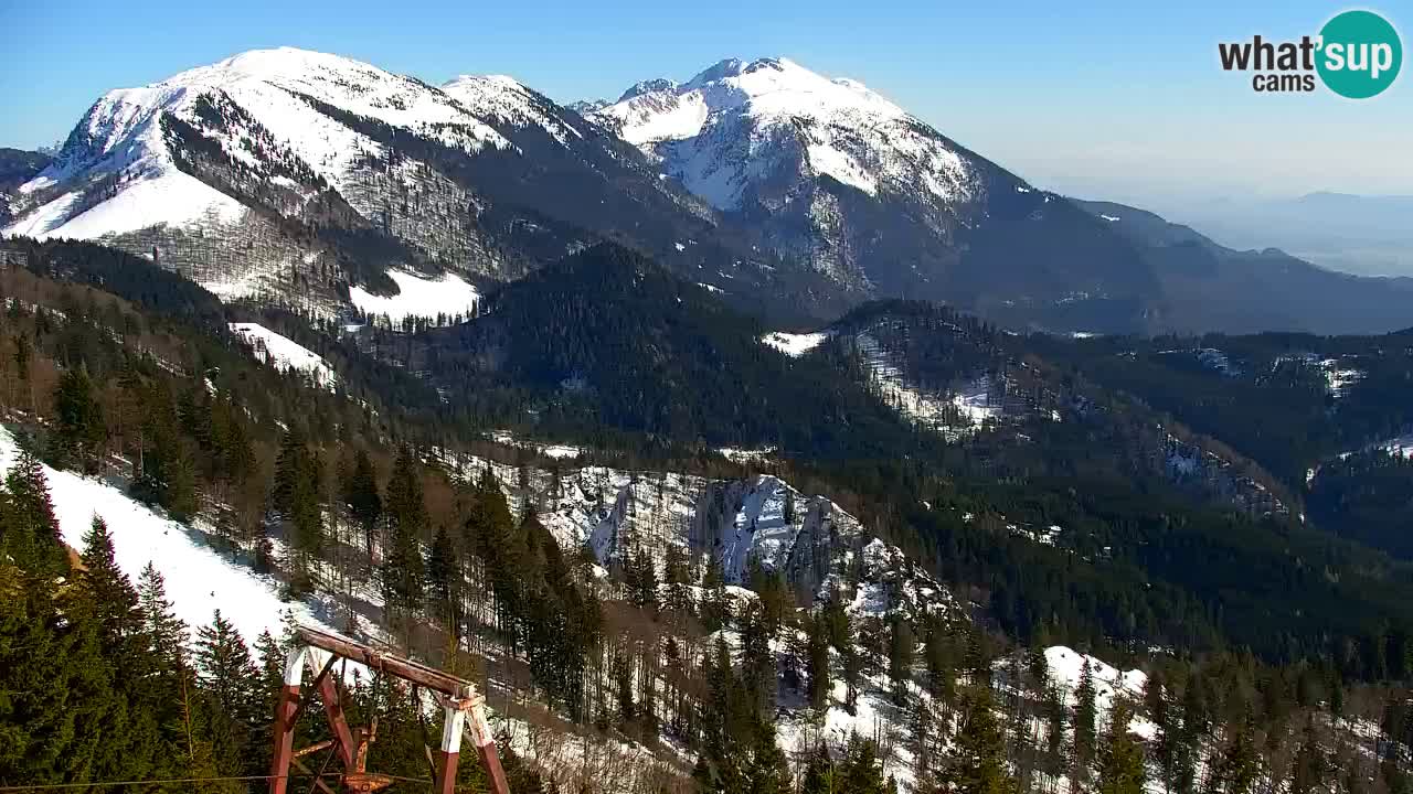 Koča na Golici Webcam (1582 m) – Slowenien