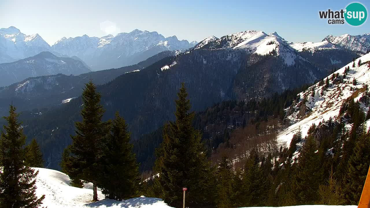 Koča na Golici Webcam (1582 m) – Slowenien