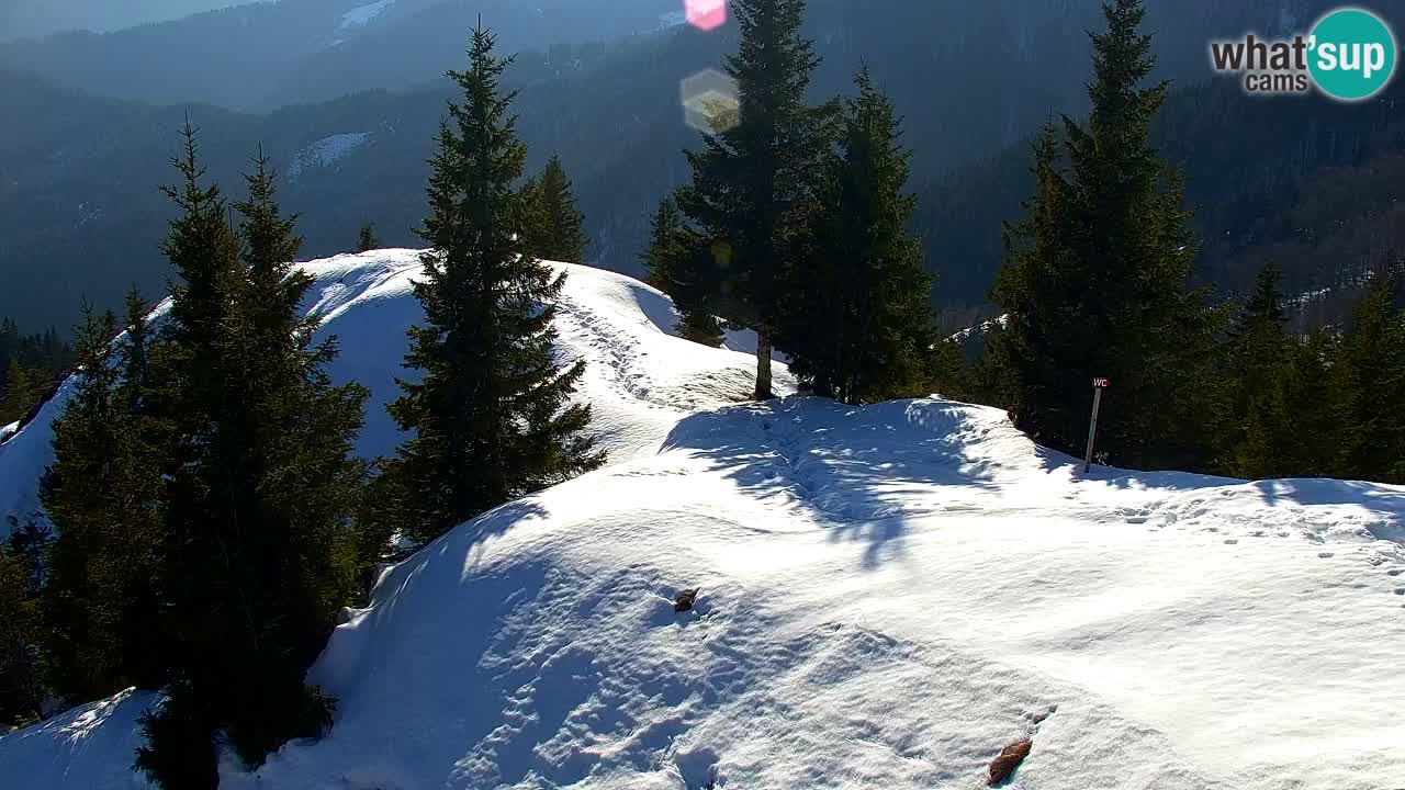 Spletna kamera Koča na Golici (1582 m) – Jesenice