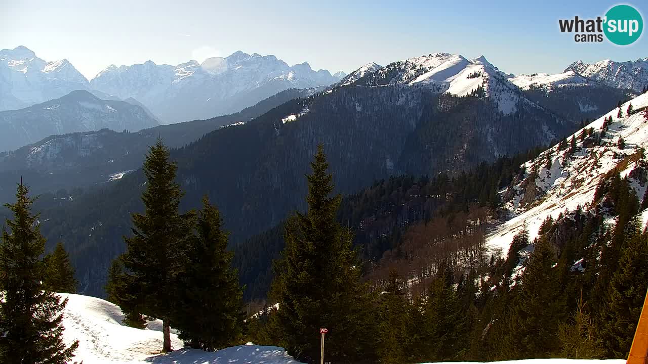 Koča na Golici Webcam (1582 m) – Slowenien