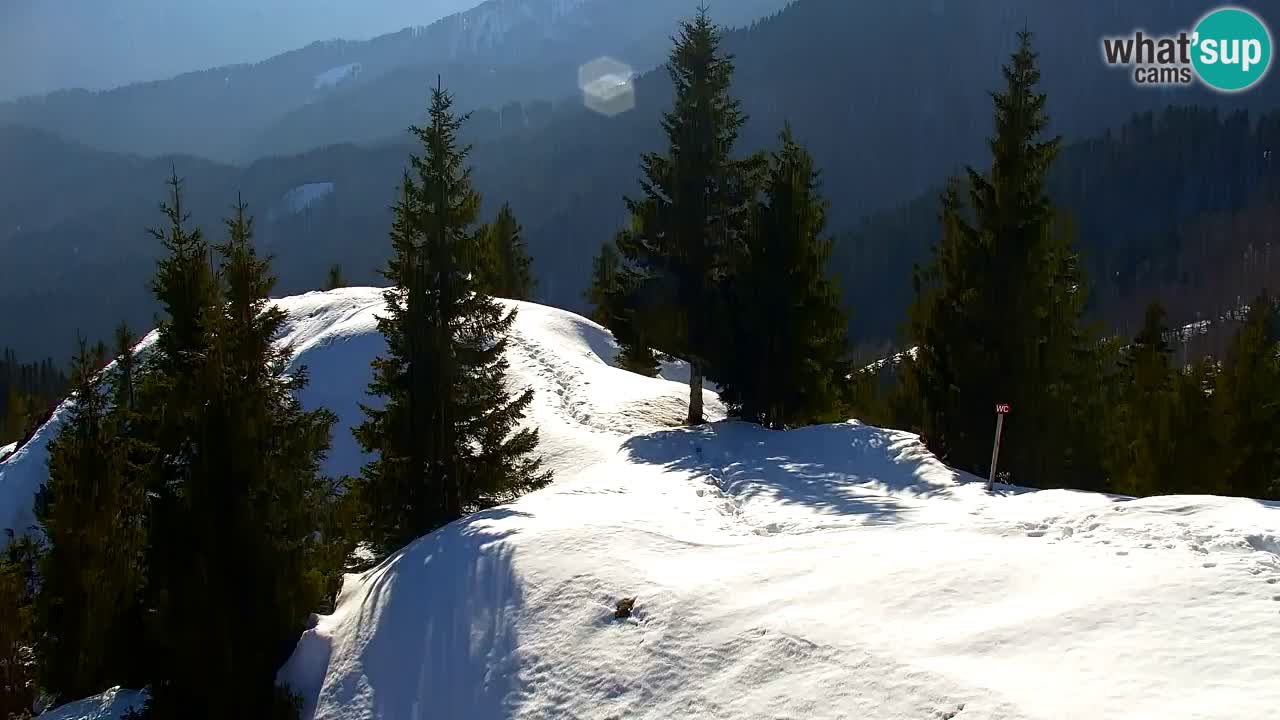 Spletna kamera Koča na Golici (1582 m) – Jesenice