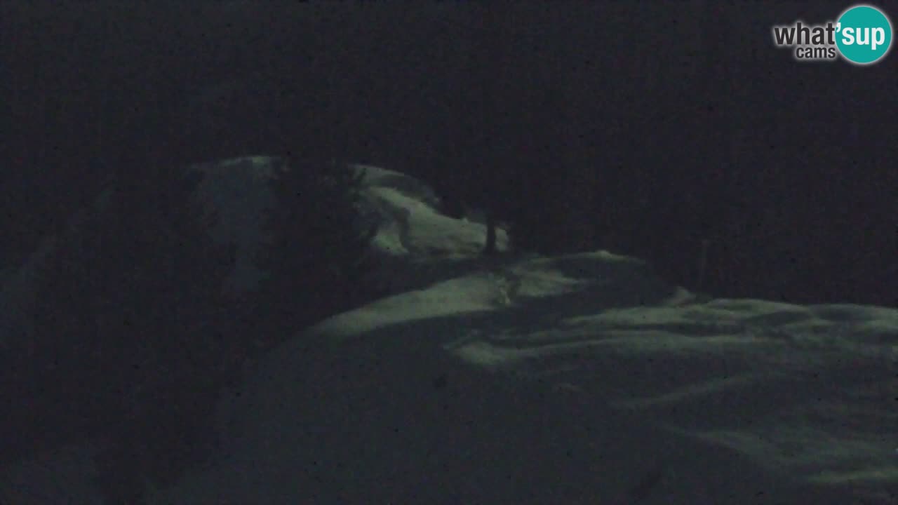 Webcam Chalet sur Golica (1582 m) – Slovénie