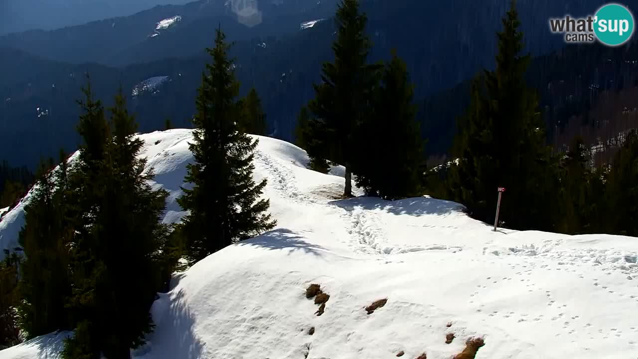 Webcam en Golica (1582 m) – Eslovenia