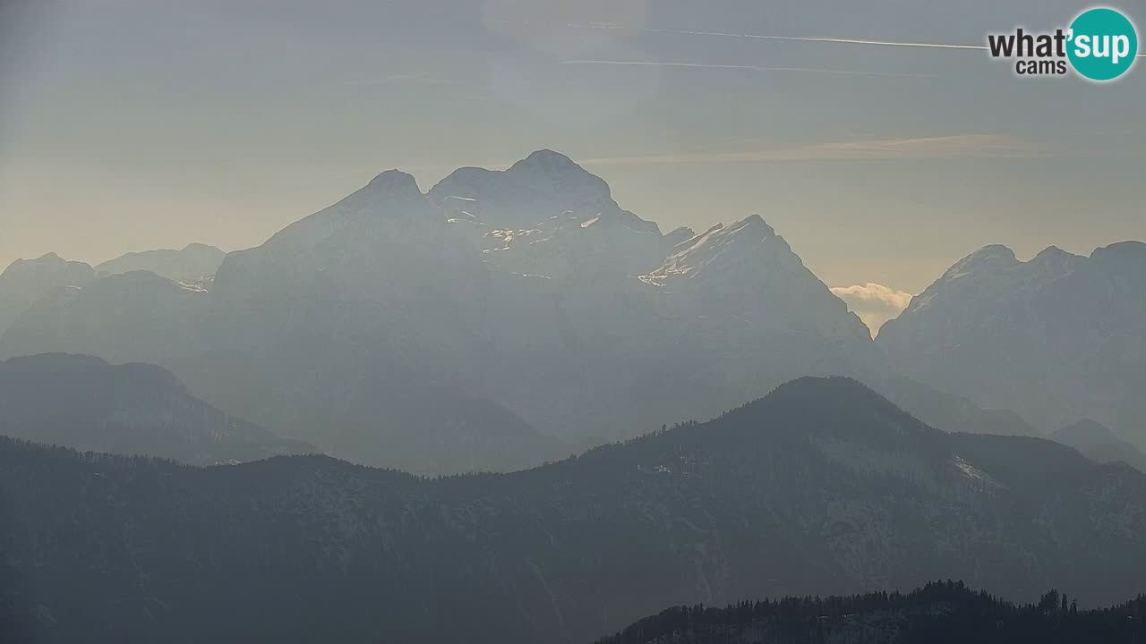 Koča na Golici Webcam (1582 m) – Slowenien
