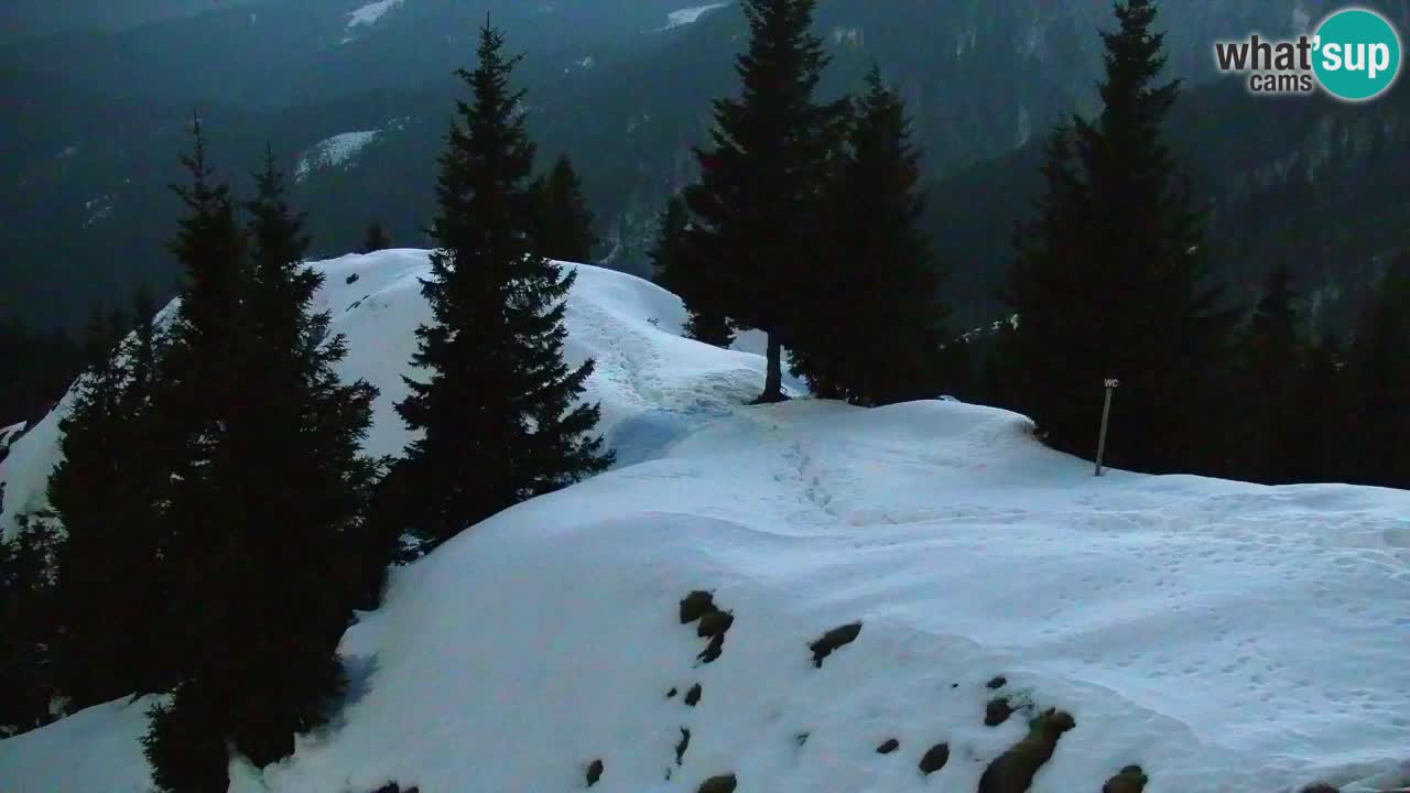 Koča na Golici Webcam (1582 m) – Slowenien