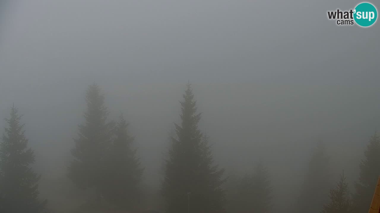 Web kamera Koča na Golici (1582 m) – Slovenija