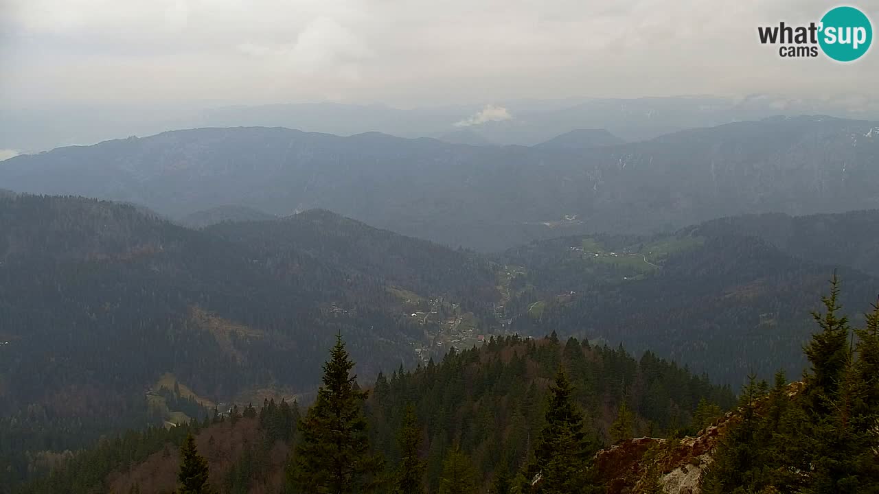 Webcam Koča na Golici (1582 m) – Slovenia