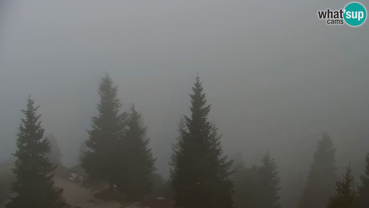 Web kamera Koča na Golici (1582 m) – Slovenija