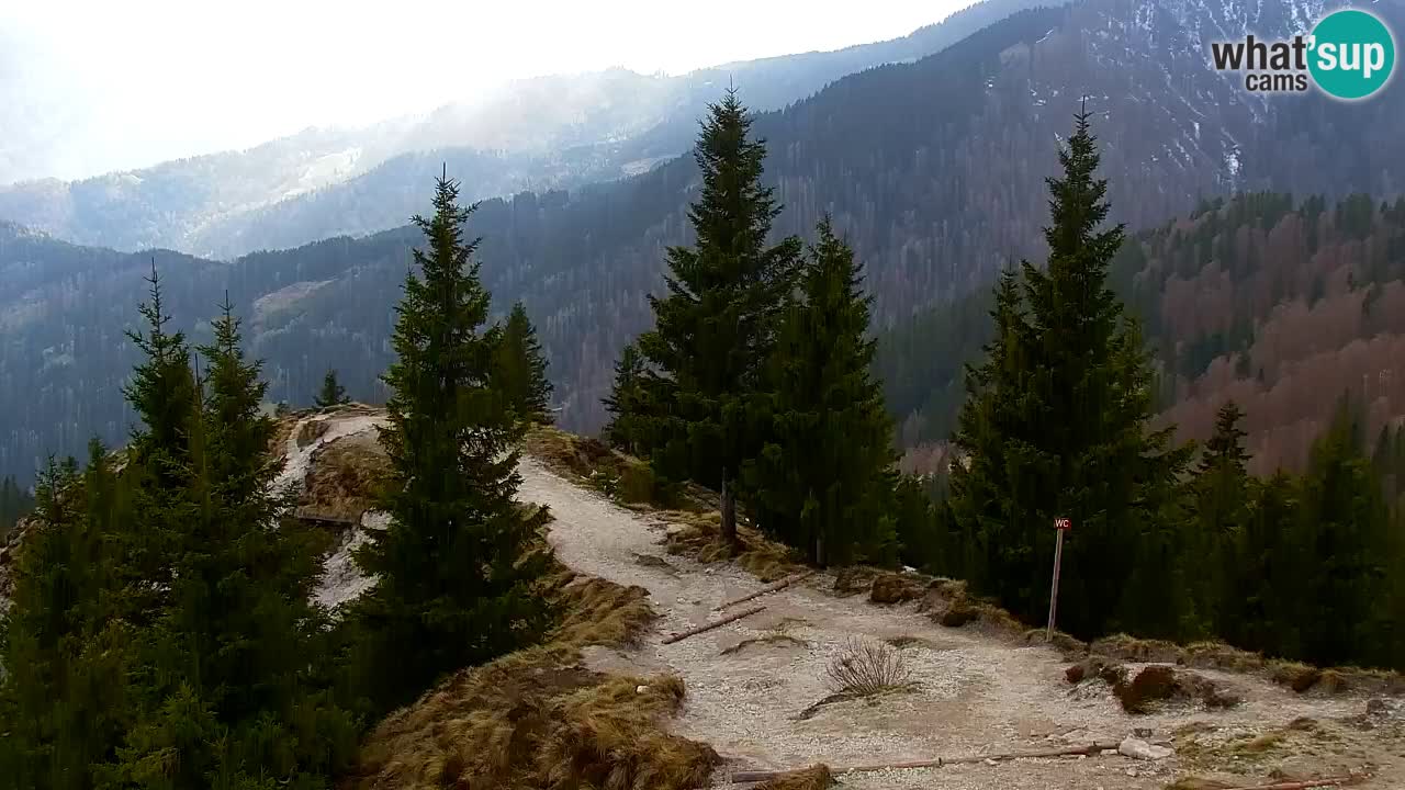 Webcam Koča na Golici (1582 m) – Slovenia