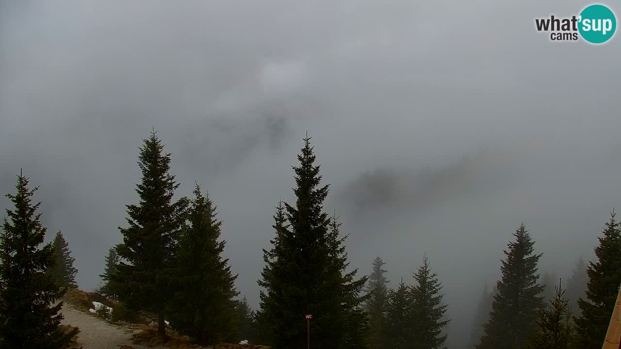 Koča na Golici Webcam (1582 m) – Slowenien