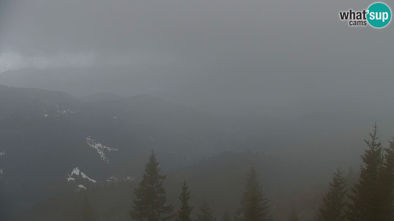 Webcam Koča na Golici (1582 m) – Slovenia