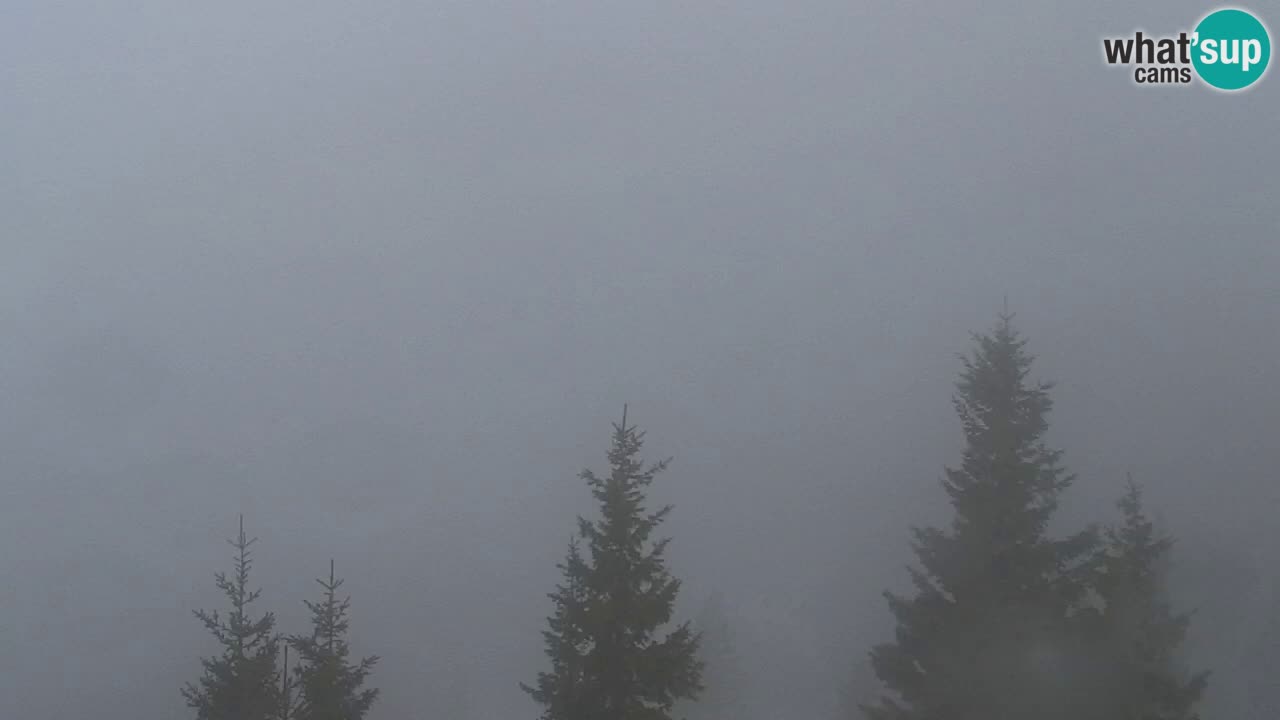 Webcam Chalet sur Golica (1582 m) – Slovénie