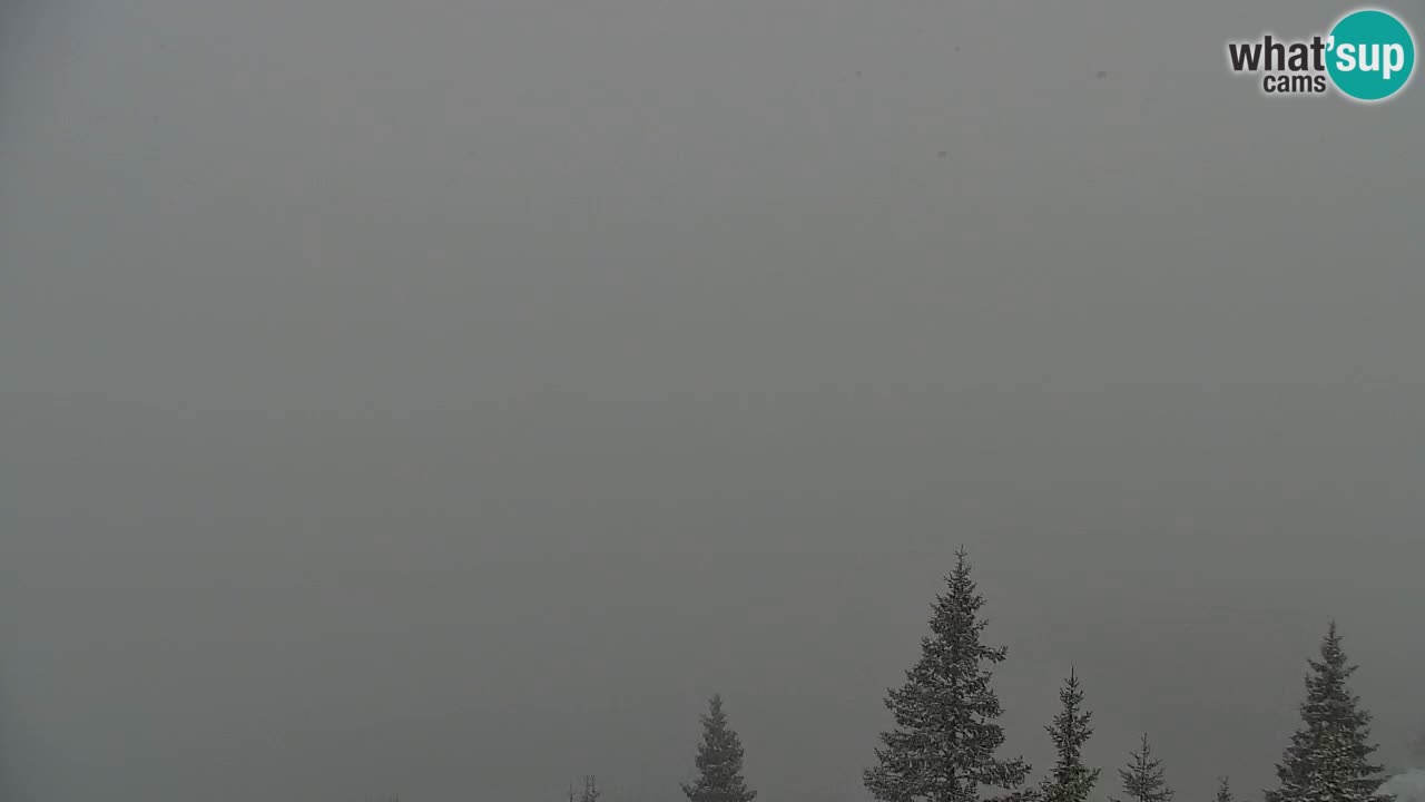 Webcam Koča na Golici (1582 m) – Slovenia