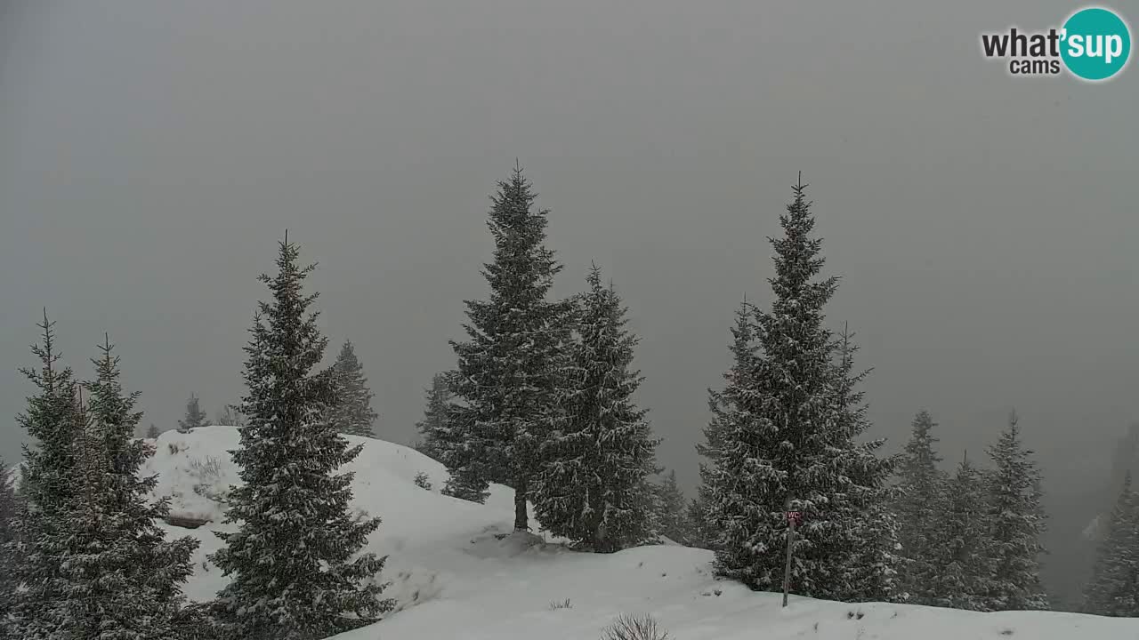 Webcam Chalet sur Golica (1582 m) – Slovénie