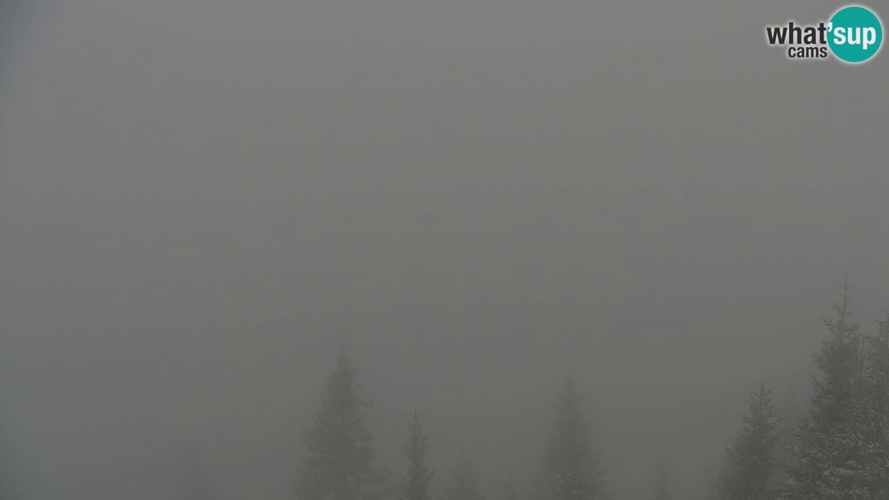 Webcam Koča na Golici (1582 m) – Slovenia