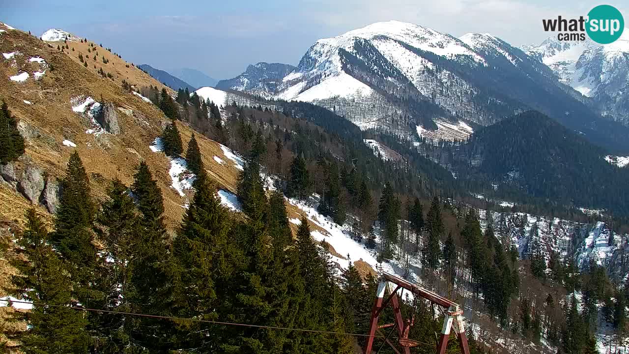 Koča na Golici Webcam (1582 m) – Slowenien