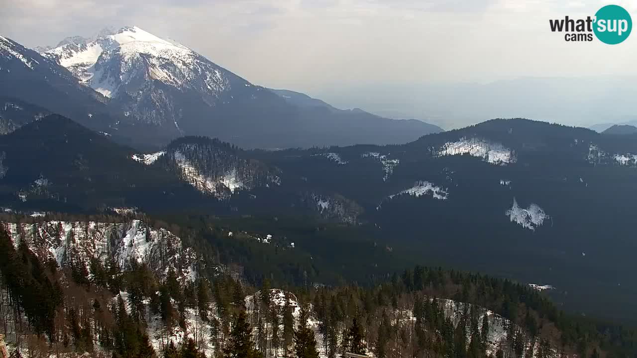 Web kamera Koča na Golici (1582 m) – Slovenija