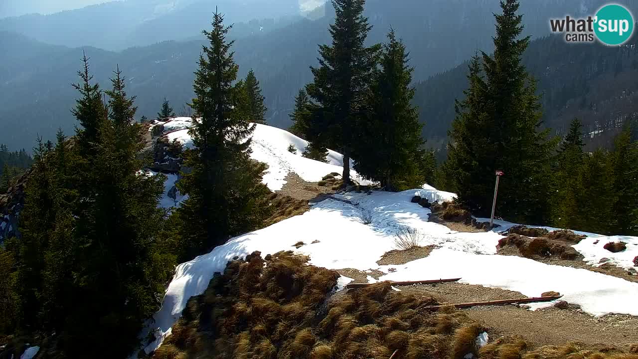 Webcam Koča na Golici (1582 m) – Slovenia