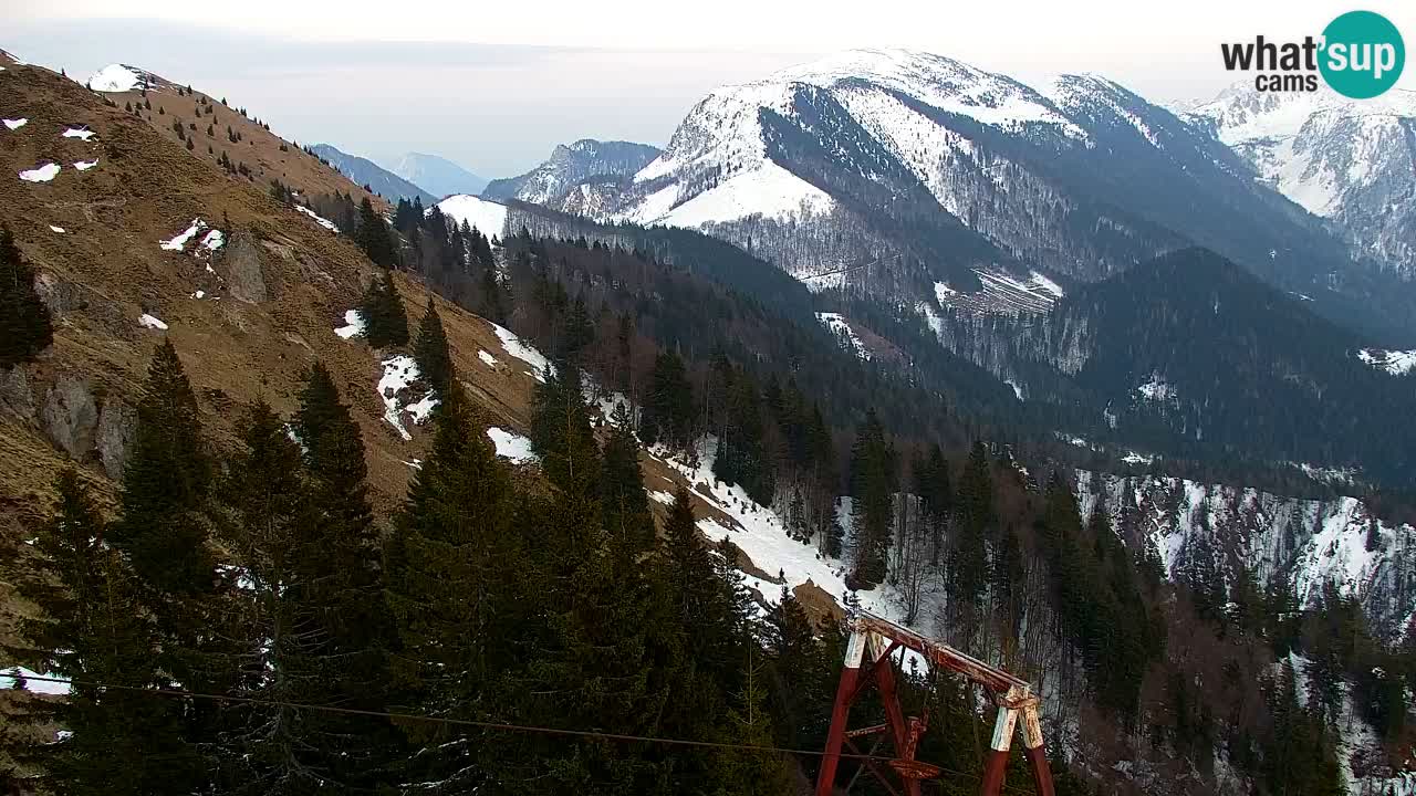 Webcam Koča na Golici (1582 m) – Slovenia