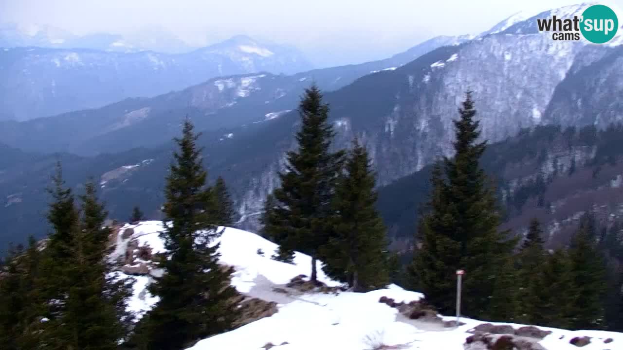 Webcam na Golici – Baita di montagna (1582 m) – Slovenia